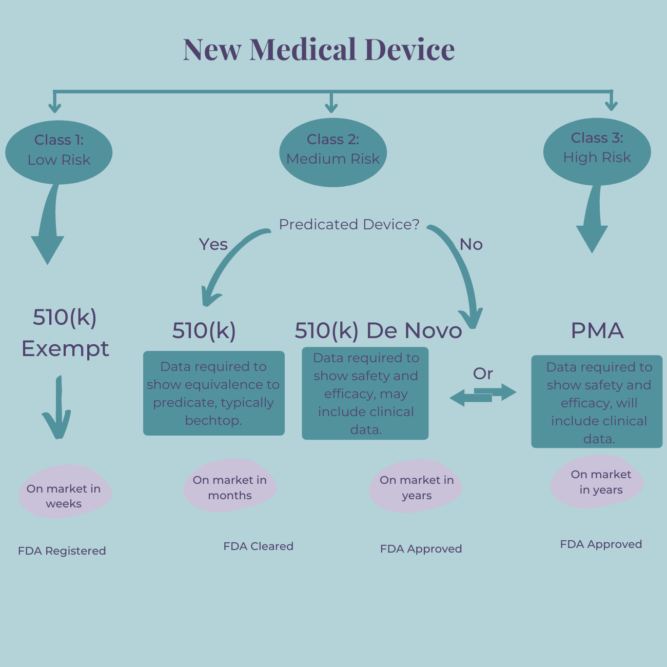 FDA Approval Process For Medical Devices | Stephane Bandeira